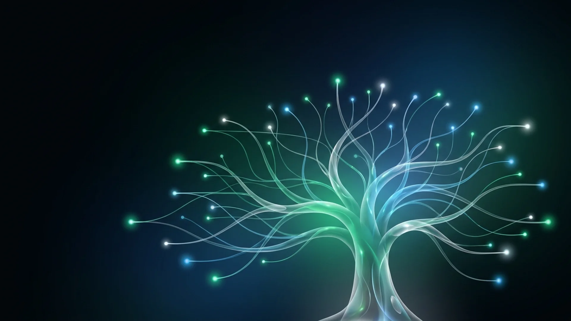 Unlock the Power of ChatGPT: 11 Official Plugins to Enhance Your Experience